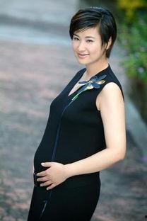 娱乐看明星,娱乐视角下的明星风采